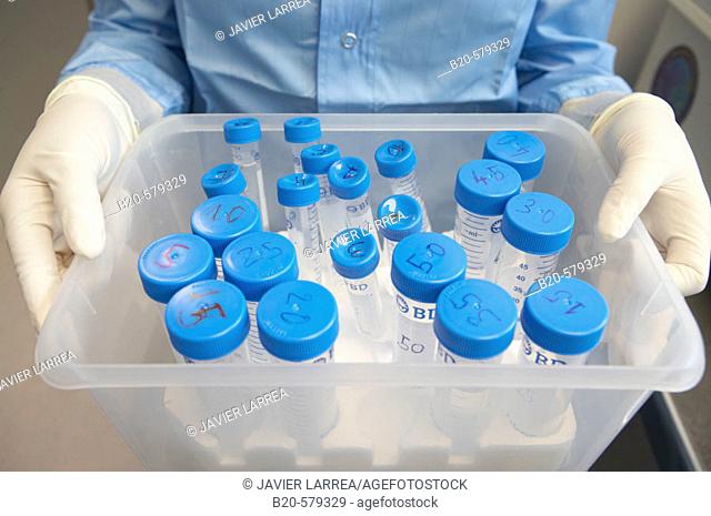 Biological samples. Quarantine zone (Grade C), clean room. Laboratory, Fundación Inbiomed, Genetrix Group. Center for research in stem cells and regenerative...