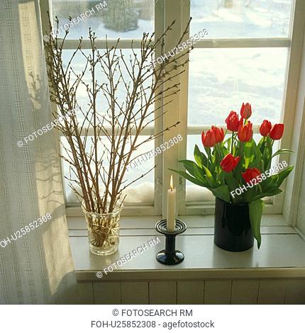 Close-up of branches and red tulips in vases on windowsill