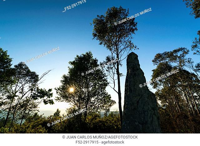 Menhir Yelso o Ilso de Hayas, Guriezo, MOC Montaña Oriental Costera, NATURA 2000, Cantabria, Spain, Europe