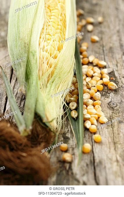 A corn cob and corn kernels on a wooden surface