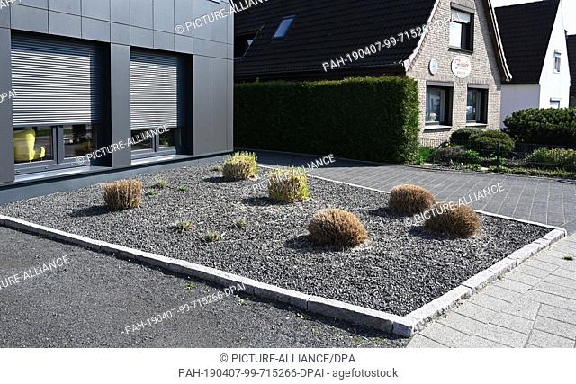 29 March 2019, Bremen: Plants rise from a front garden with grey and black pebbles. Bremen is now declaring war on the gravel gardens and wants to ban large...