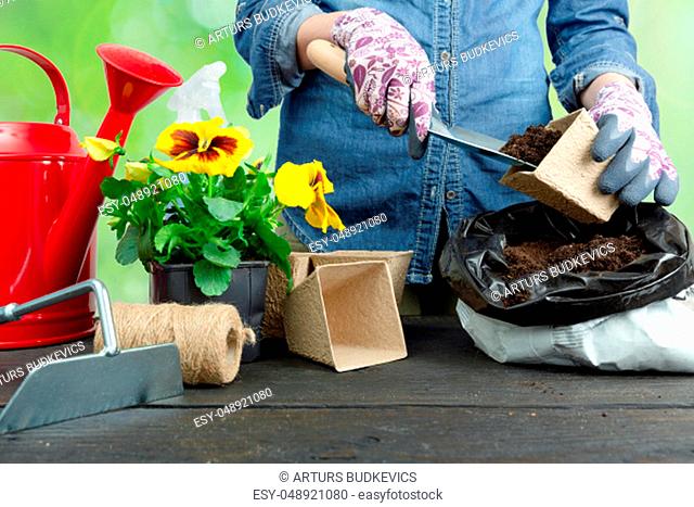 Hands of gardener woman putting soil into a paper flower pot. Planting spring pansy flower. Gardening concept