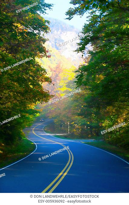 Winding road through autumn trees, Stowe Vermont, USA