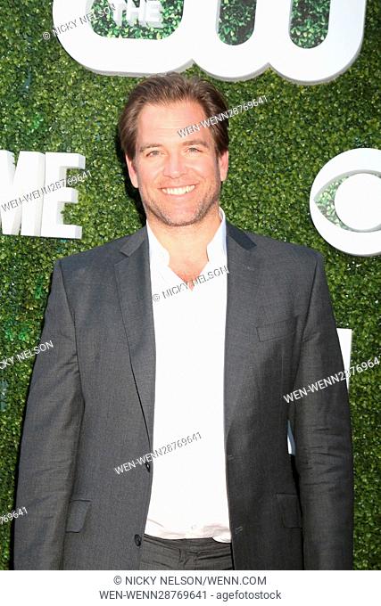 CBS, CW, Showtime Summer 2016 TCA Party at the Pacific Design Center on August 10, 2016 in West Hollywood, CA Featuring: Michael Weatherly Where: West Hollywood