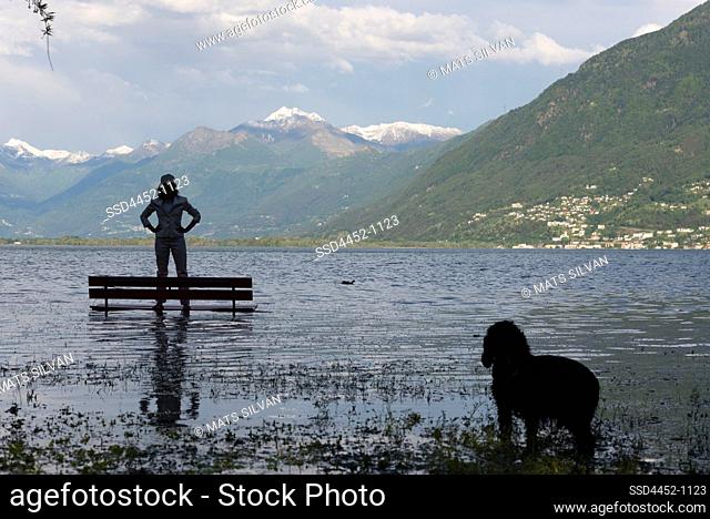Woman Standing on a Bench on a Flooding Alpine Lake Maggiore with Her Dog and Mountain in Locarno, Switzerland