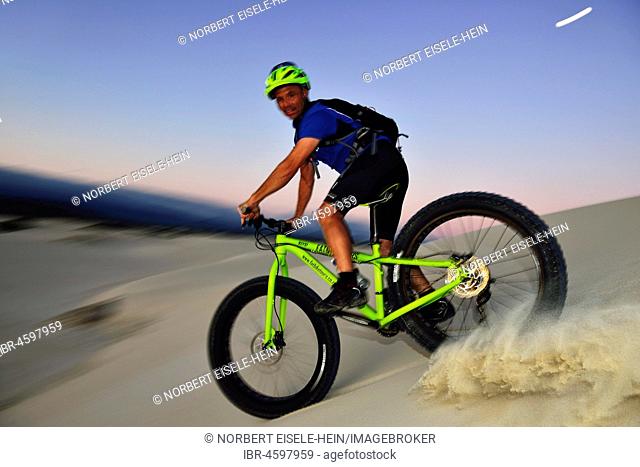 Cyclist with Fatbike descending sand dune, Plaat Beach, Nature Reserve, De Kelders, Gansbaai, Western Cape, South Africa