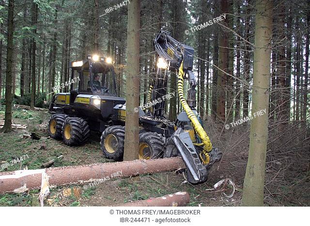 Lumberman working with a Harvester in the forest