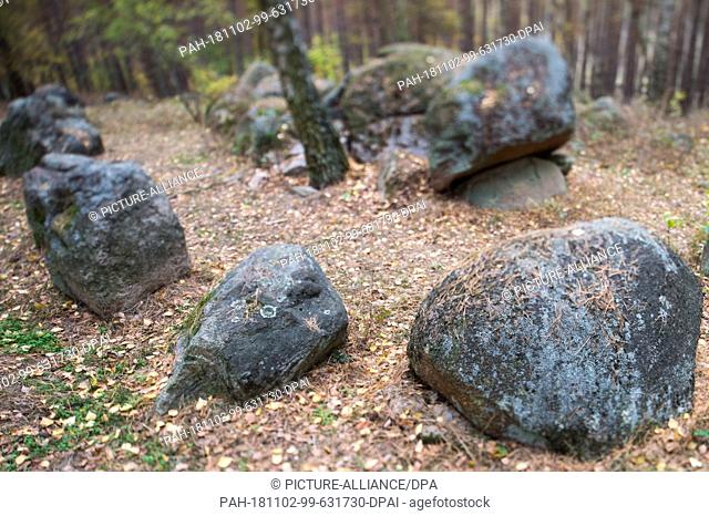 01 November 2018, Saxony-Anhalt, Süplingen: A ring of stones surrounds the ""Emperor's Tomb"". The passage grave built from boulders is one of the best...