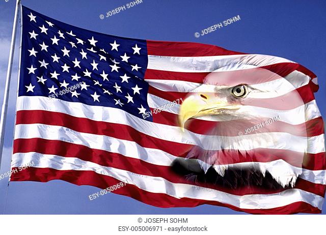 This is an American flag waving in the wind against a blue sky. An American bald eagle is digitally composited into the right side of the flag into the red and...