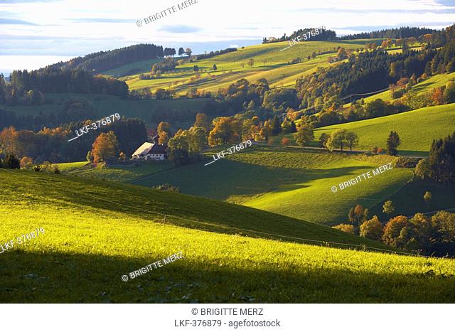 Autumn evening near St Maergen, Southern part of Black Forest, Black Forest, Baden-Wuerttemberg, Germany, Europe