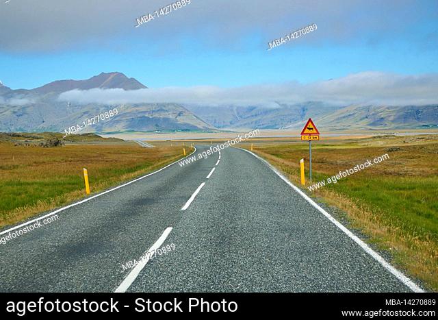 Straße, 1, Ring Straße, Summer, SuÃ°urnes, Sudurland, Iceland