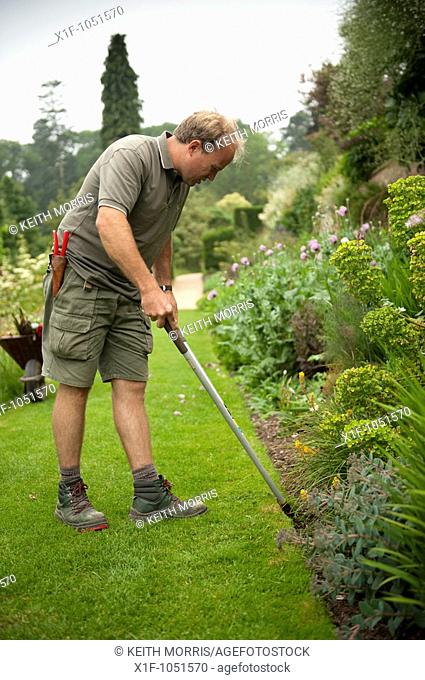 A male gardener working in the gardens at the National Trust property Powis Castle, welshpool, Powys, WALES, UK