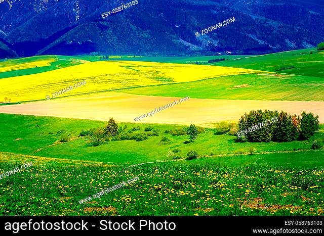 Beautiful landscape, green and yellow meadow with field and mountain. Central Europe, region Liptov