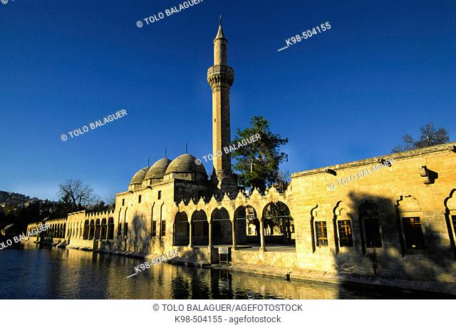 Rizvaniye Vakfi Camii mosque and Medressa next to Balikli Göl pond (Gölbasi). Sanliurfa. Southeast Anatolia. Turkey