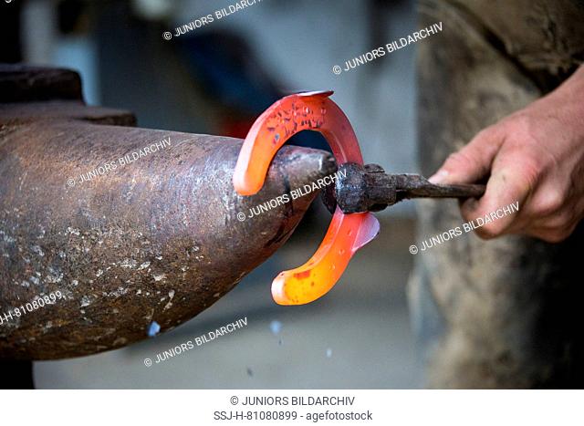 Farrier bending a red-hot horseshoe in the desired shape. Austria