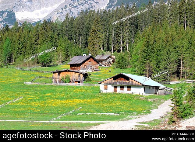 Angeralm, next to bike and hiking trail in Karwendel valley, Austria, Tyrol, Karwendel, hunting lodges in the background