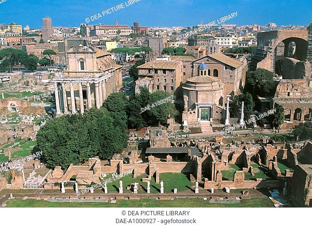 Italy - Lazio Region - Rome - The Roman Forum - Temple of Antoninus and Faustina and Romulus