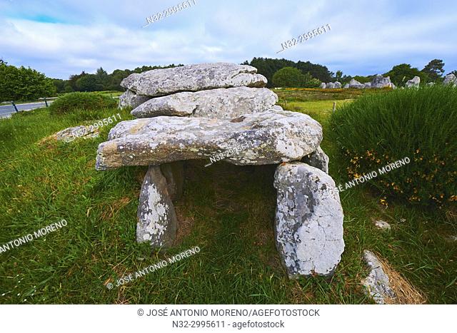 Carnac, Kermario alignment, Dolmen, Megalithic stones, Megalitic alignments, Morbihan, Bretagne, Brittany, France, Europe