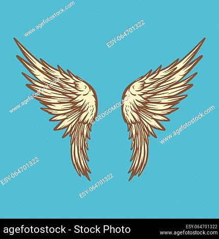 Vector Wings Icon. Vintage Angel Wings Icon, Design Template, Clipart. Cupid, Angel or Bird Wings. Vector illustration