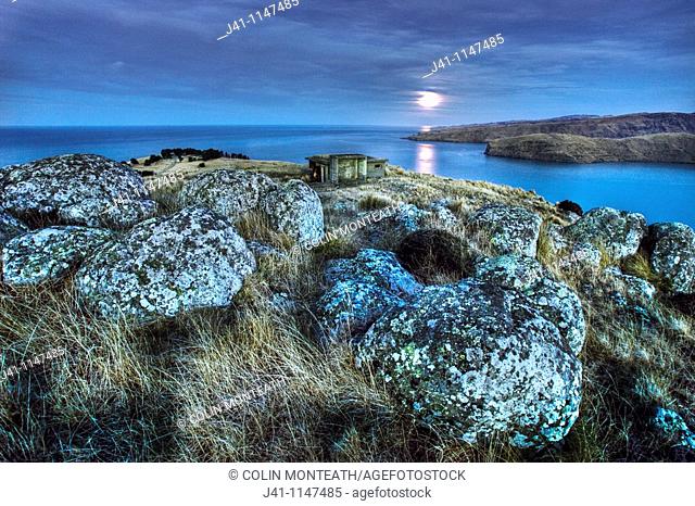 Moonlight over Godley Head near entrance to Lyttelton harbour, WWII gun emplacements in trees below and old observation post in foreground, Christchurch