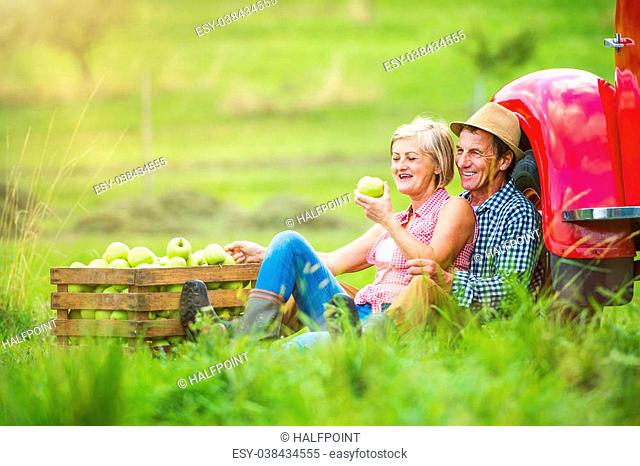 Senior couple sitting next to the red truck after harvesting apples