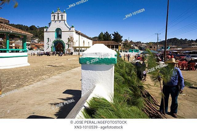 Man sells Christmas palm branches. San Juan Bautista church. San Juan Chamula.(indian villaje). Near San Cristobal de las Casas. Chiapas State. Mexico