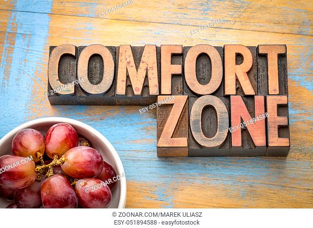 comfort zone - word abstract in vintage letterpress wood type with grapes