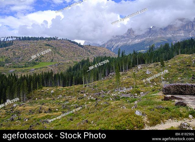 Storm damage, destroyed mountain forest, storm wood, deforested mountain slopes, at Lake Karersee, Val d'Ega, South Tyrol, Italy, Europe