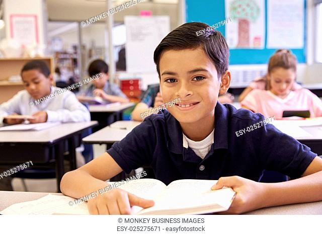 Schoolboy at desk in an elementary school looking to camera