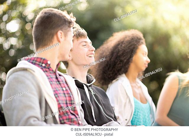 Four young adult friends sitting talking in park