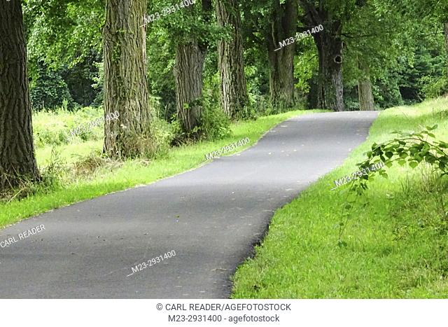 A paved path seems to undulate on its way by trees, Pennsylvania, USA