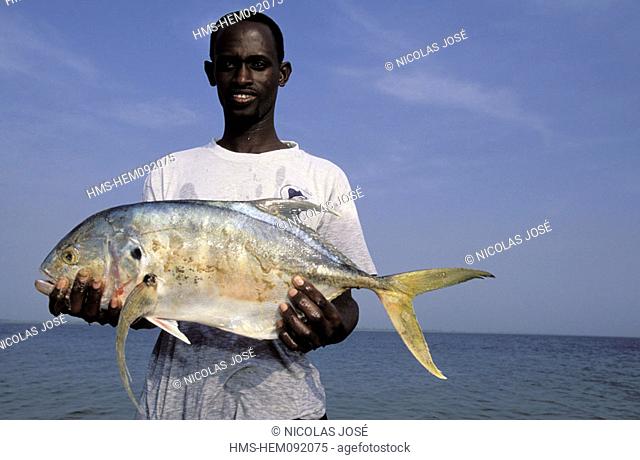 Senegal, Sine Saloum region, angling on the Saloum river