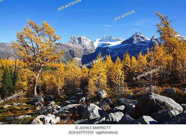 larch valley, banff national park, alberta, canada