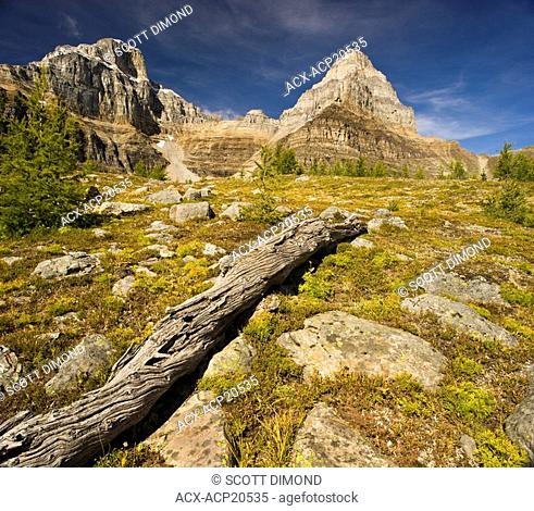Sentinel Pass, Valley of the Ten Peaks, Larch Valley, Banff National Park, Alberta, Canada