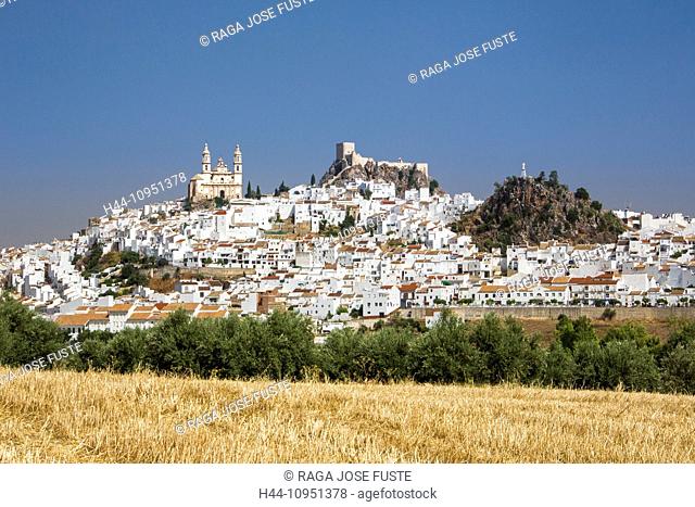 Cadiz, Incarnation, Olvera, Andalusia, castle, church, village, pueblo, skyline, Spain