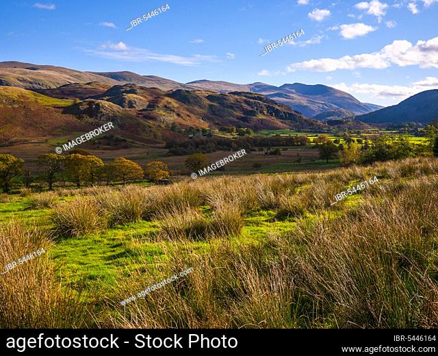 View over Dale Bottom and High Rigg with Helvellyn in the distance. Lake District, Cumbria, England, United Kingdom, Europe
