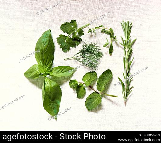 Various culinary herbs