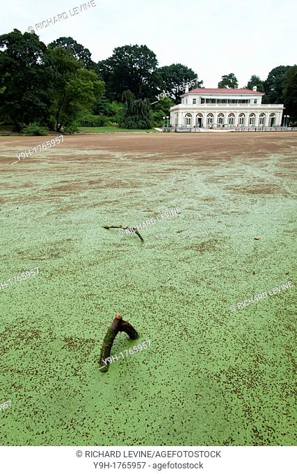 The Audubon Center in the lullwater section of the Prospect Park Lake in Brooklyn in New York The surface of the lake has been covered with the plant Azolla...