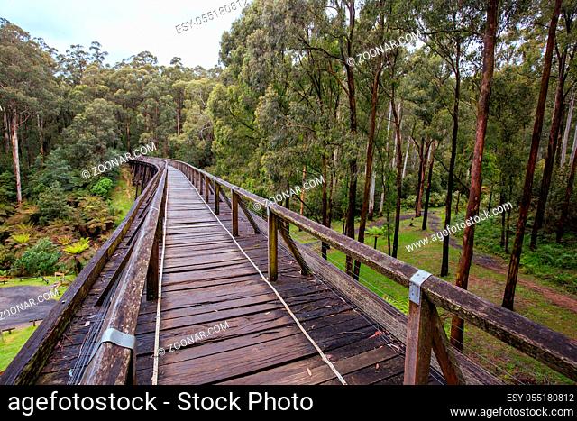The famous Noojee Trestle Rail Bridge on a cool wet spring day in Victoria Australia
