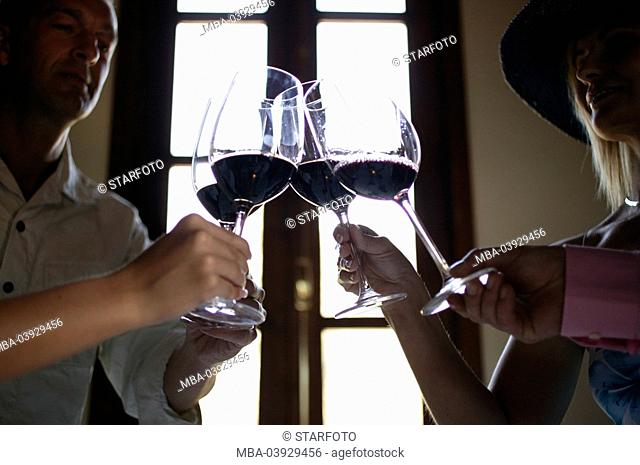 Group, stands, wine-tasting, wine glasses, nudges, indoors, close-up