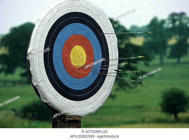 Close up of an archery target