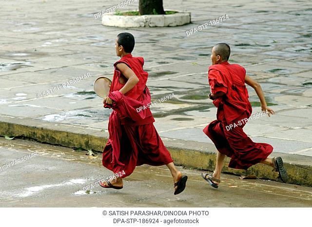 Monks Running at Shar Gaden in Mundgod at Karnataka India Asia