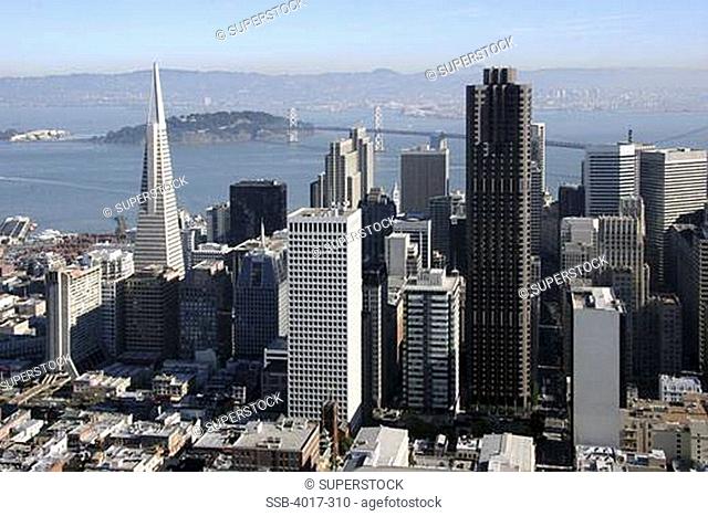 USA, California, San Francisco, Transamerica Pyramid and 555 California Street towers