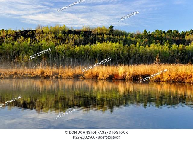 Spring aspens and reedbeds reflected in Robinson Lake, Greater Sudbury, Ontario, Canada