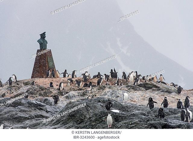 Bust and monument to Luis Pardo Villalón, captain of the steamboat Yelcho, surrounded by Chinstrap Penguins (Pygoscelis antarctica)