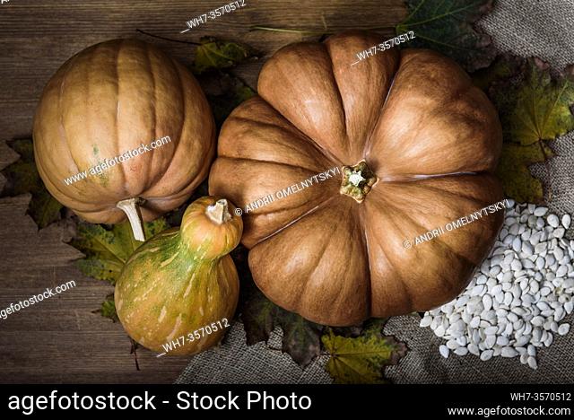 pumpkins lying on a wooden table with viburnum and seeds