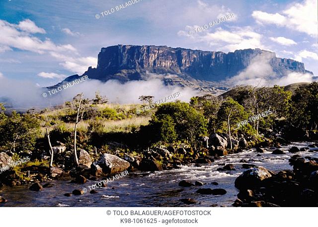 Matawi tepui (aka Kukenan) and Kukenan river, Gran Sabana region, state of Bolivar, Venezuela