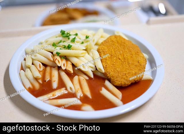 23 November 2023, Saxony, Dresden: A plate with a schnitzel and pasta stands on a tray in the kitchen at Dresden Municipal Hospital