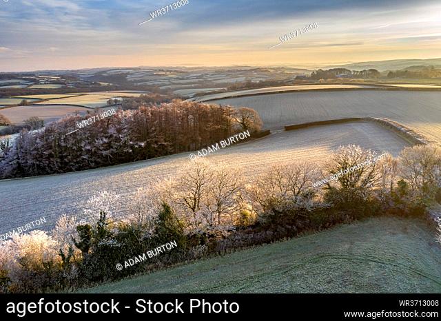 Rolling countryside at dawn on a frosty winter morning, Devon, England, United Kingdom, Europe