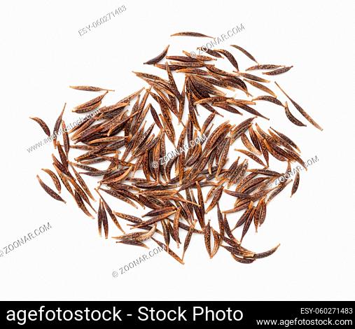 Cosmos flower (cosmos bipinnatus) seeds isolated over white background. View from above